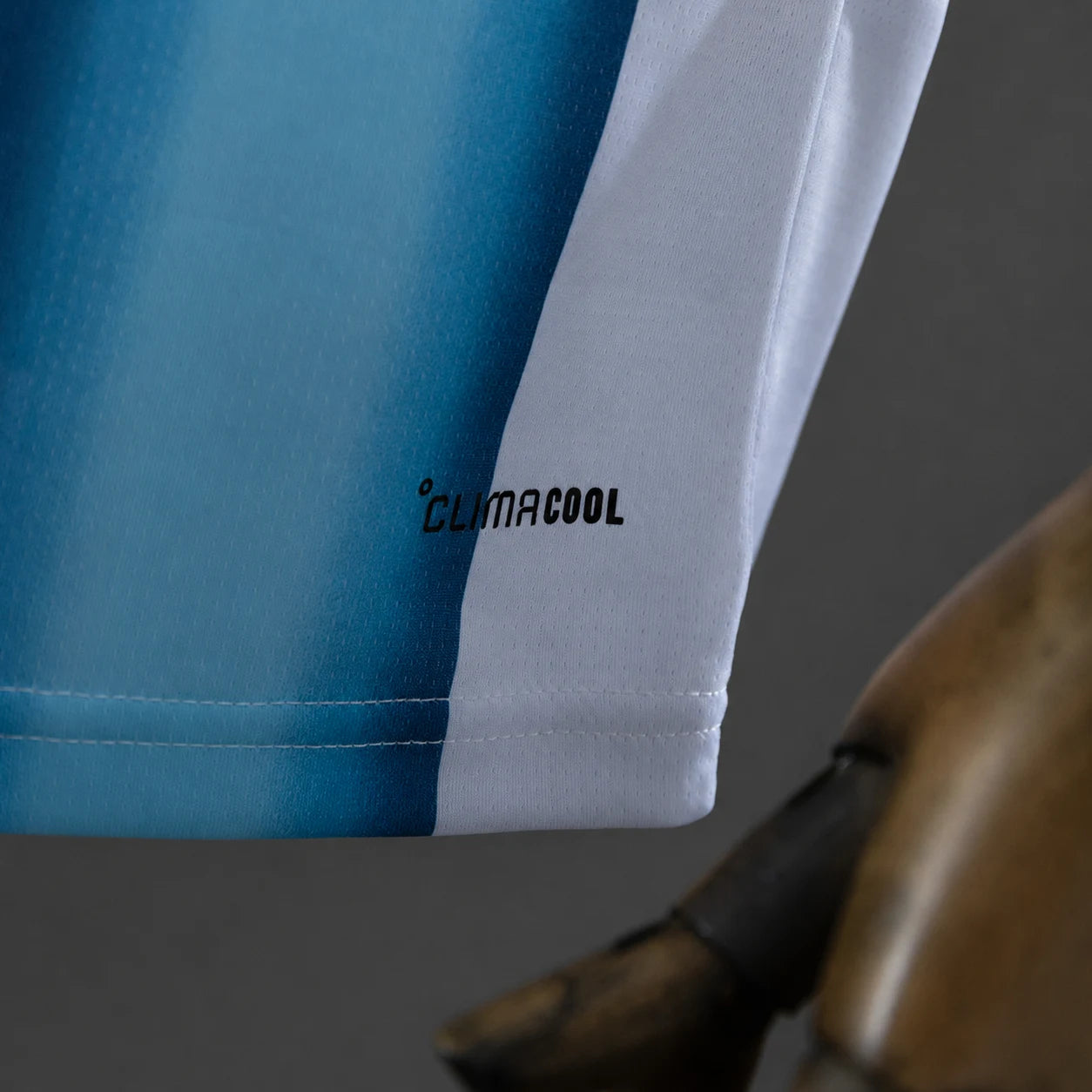 Argentinien WM 2026 Heimtrikot – Fan-Version – Weiß und Himmelblau