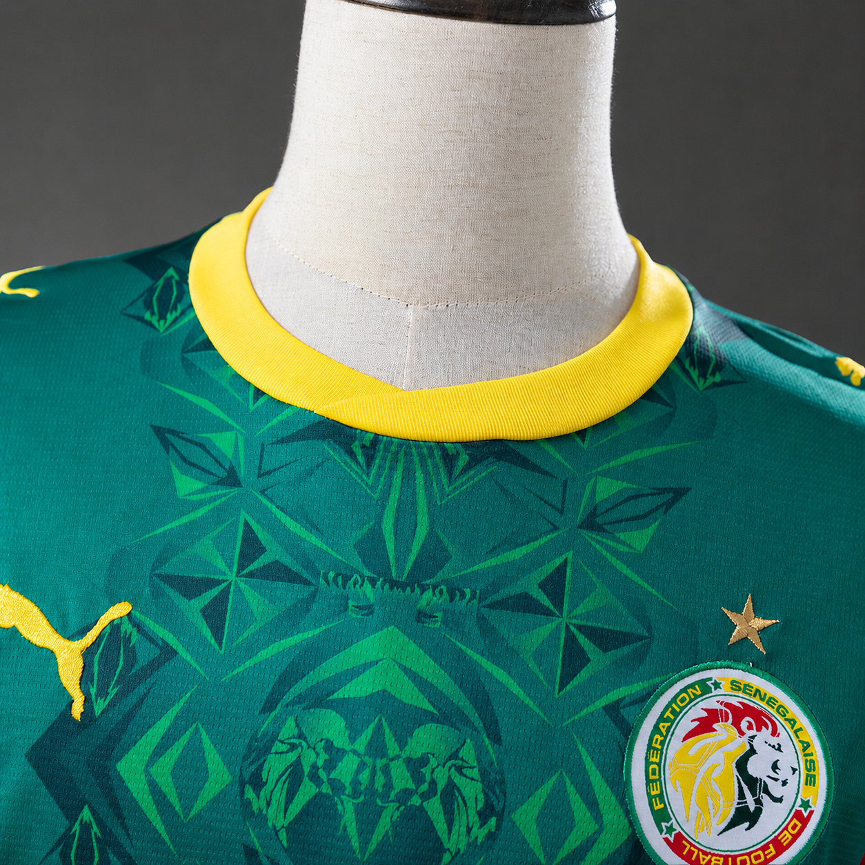 Senegal 2026 World Cup Away Jersey - Fan Version